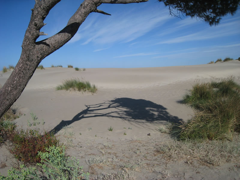 L'Espiguette, Partenaires cen