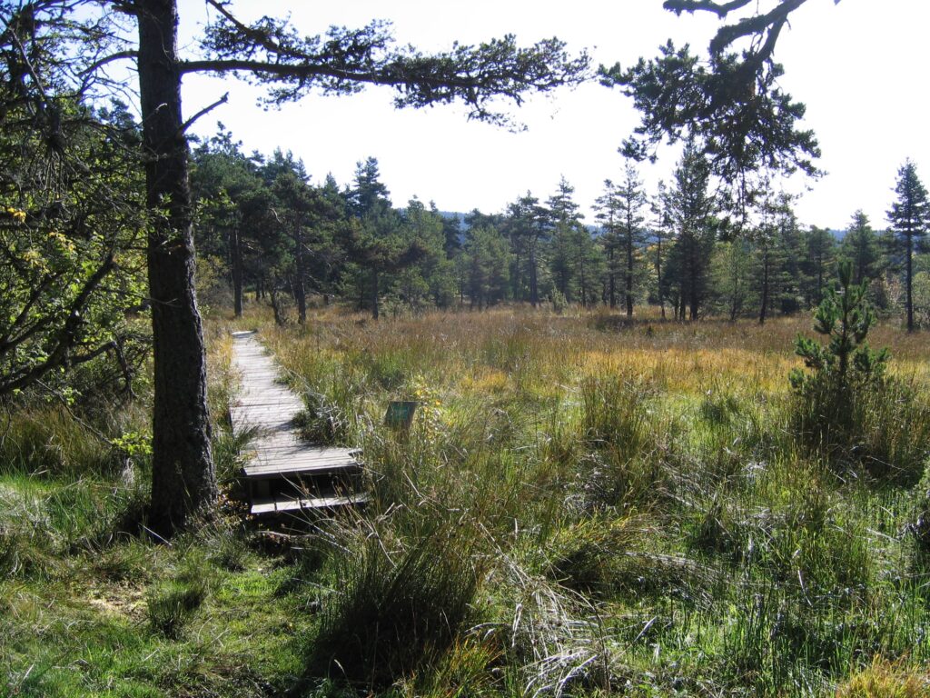 Les tourbières de Lajo - SAGNE 48