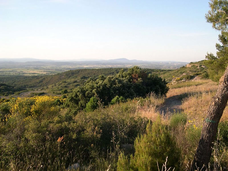 Massif de la Gardiole