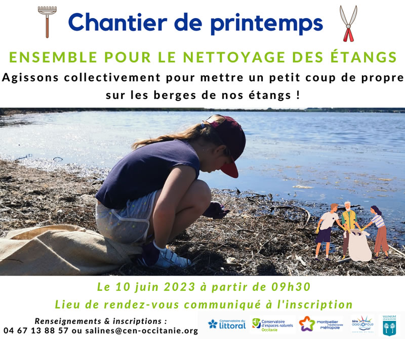chantier nettoyage des étangs