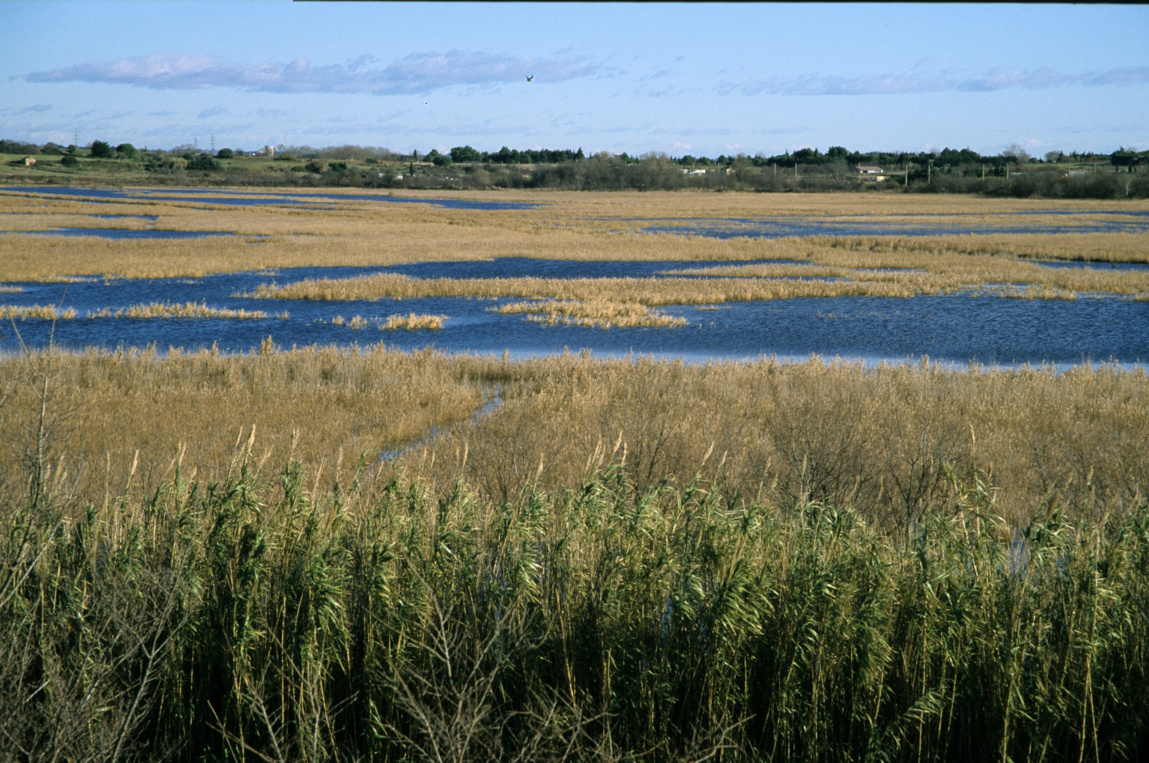 Réserve Naturelle Nationale de l'Estagnol