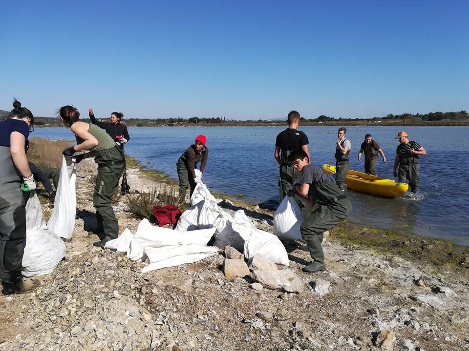 BTSA_Ilot_CENOccitanie