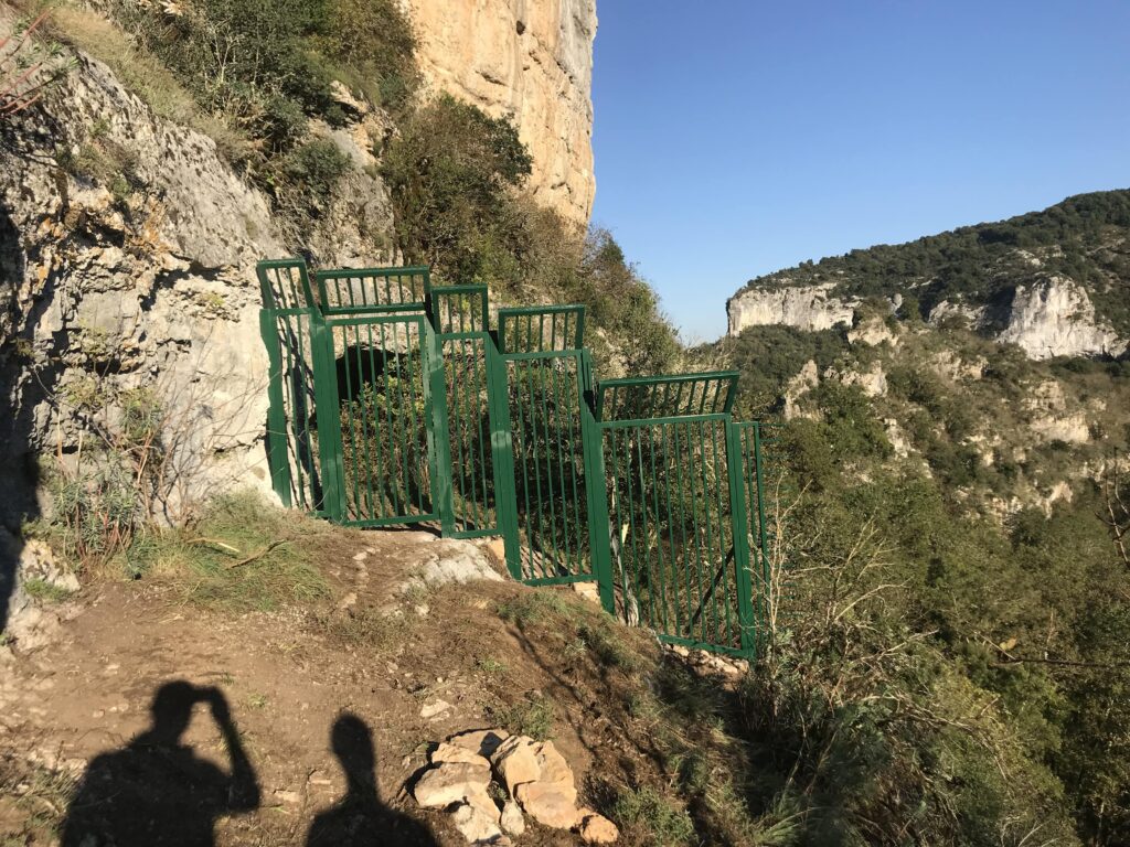 Chauves souris en Occitanie