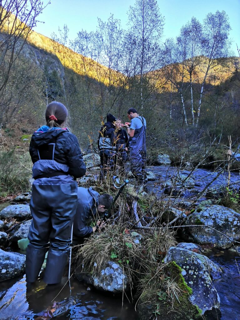 Protection Desman des Pyrénées