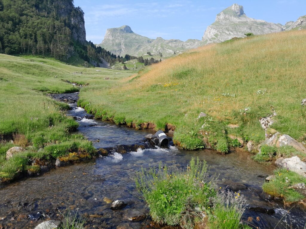 Photo Plateau de Bious ©CEN Occitanie-min