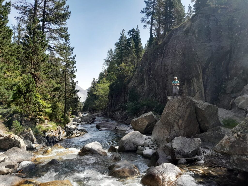 Protection Desman des Pyrénées