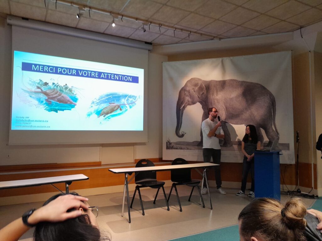 Protection Desman des Pyrénées