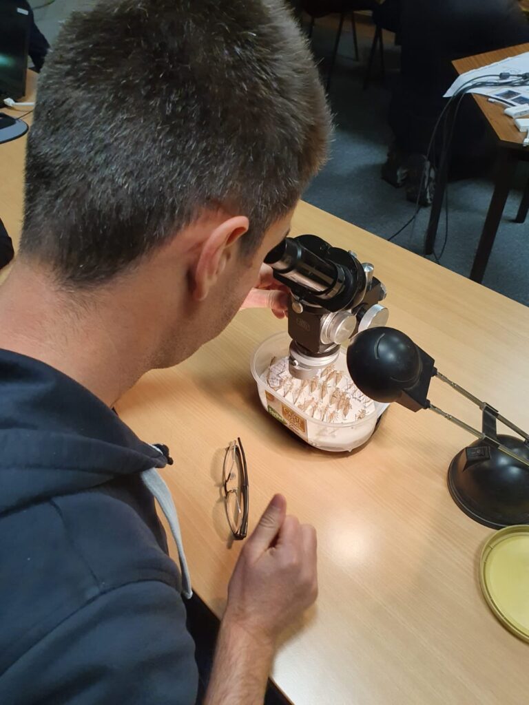 Groupe Invertébrés de Midi-Pyrénées