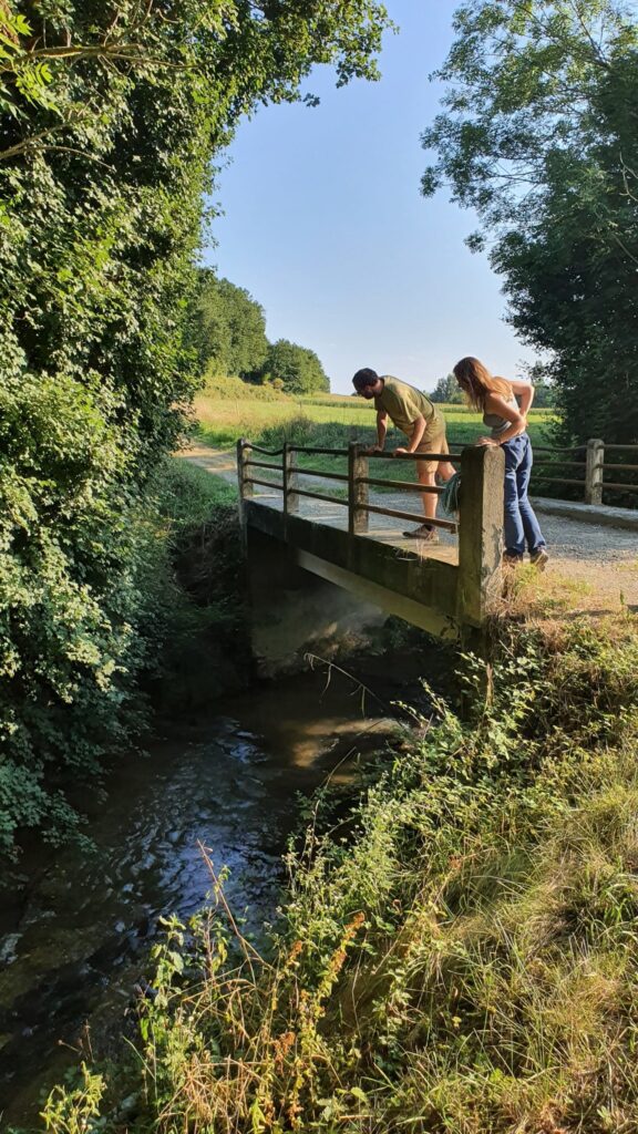 Week-end chiroptères