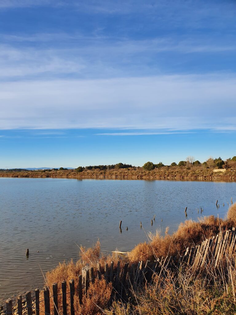 protéger Salines de Villeneuve