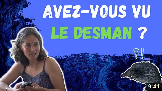 découverte du Desman des Pyrénées