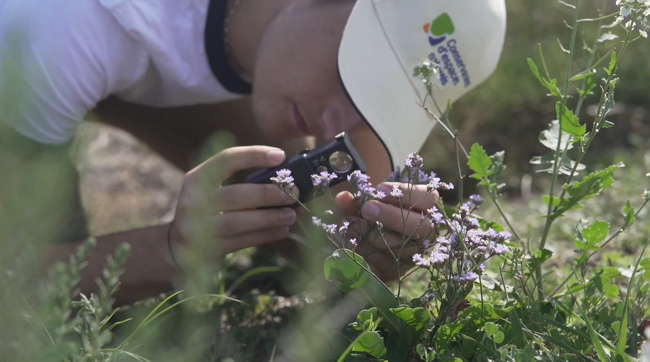 deuxième épisode Web série l'Homme et la nature