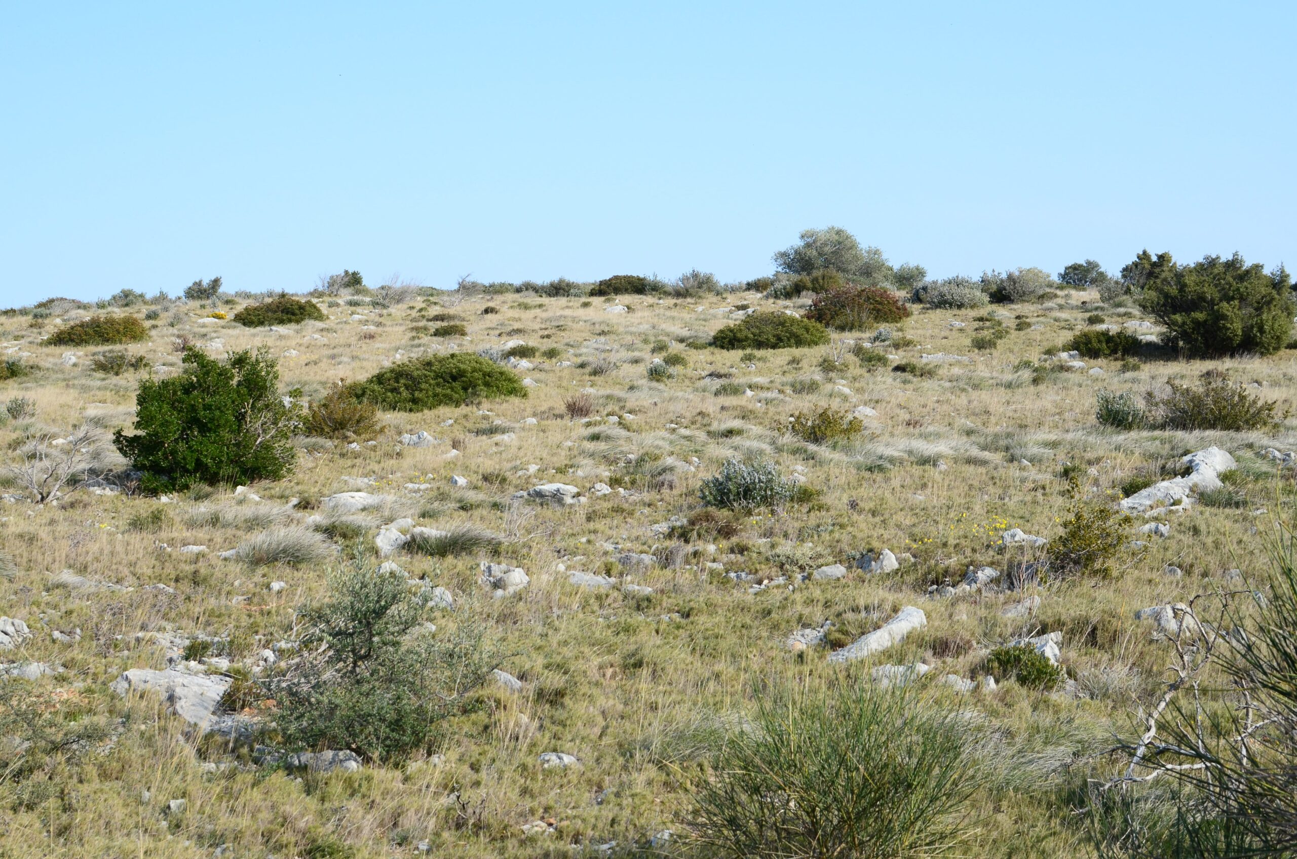 Garrigues Méditerranéennes Corbières dans l'Aude