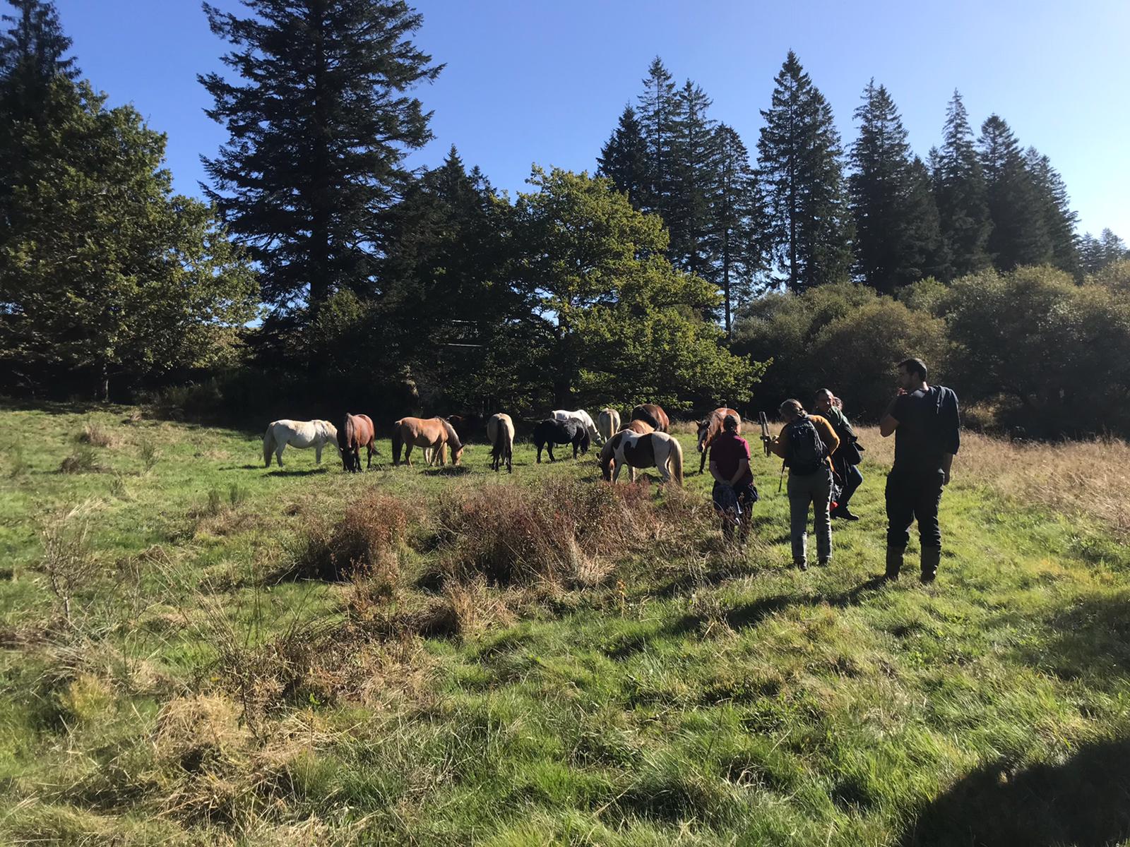 Activités agricoles, enjeux de biodiversité et maîtrise foncière