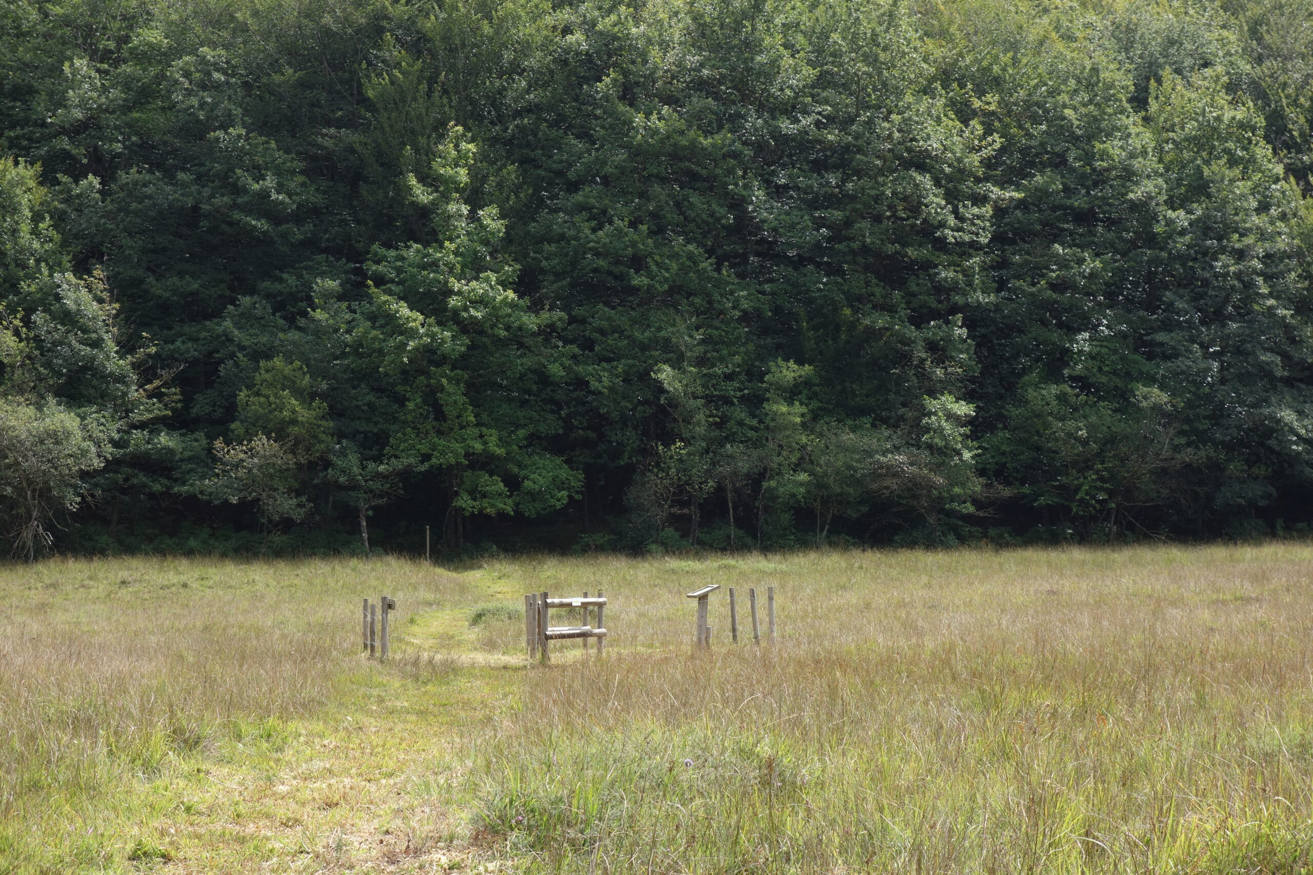 sortie Nature sur la tourbière de Canroute