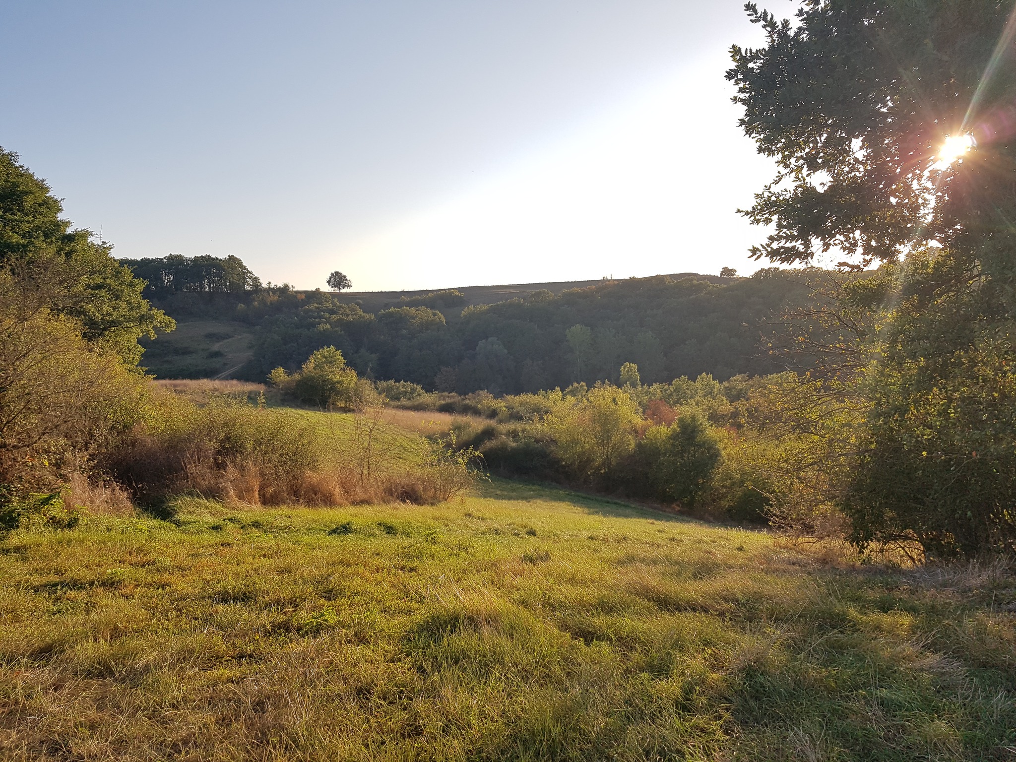 Espace Naturel Sensible de Solamoure