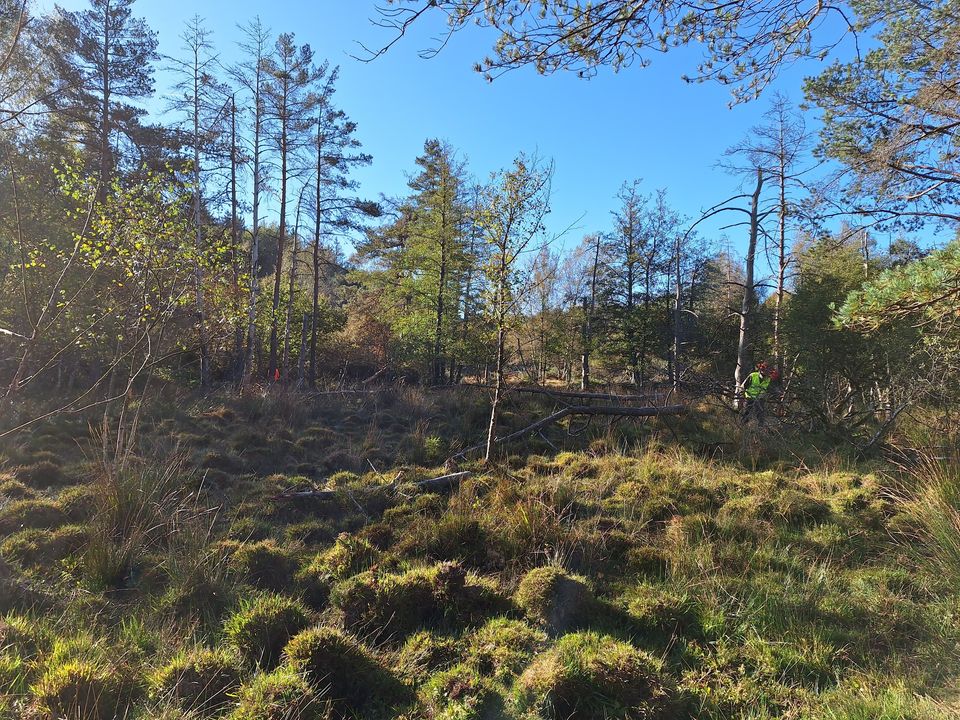 chantier sur une zone humide dans le Tarn