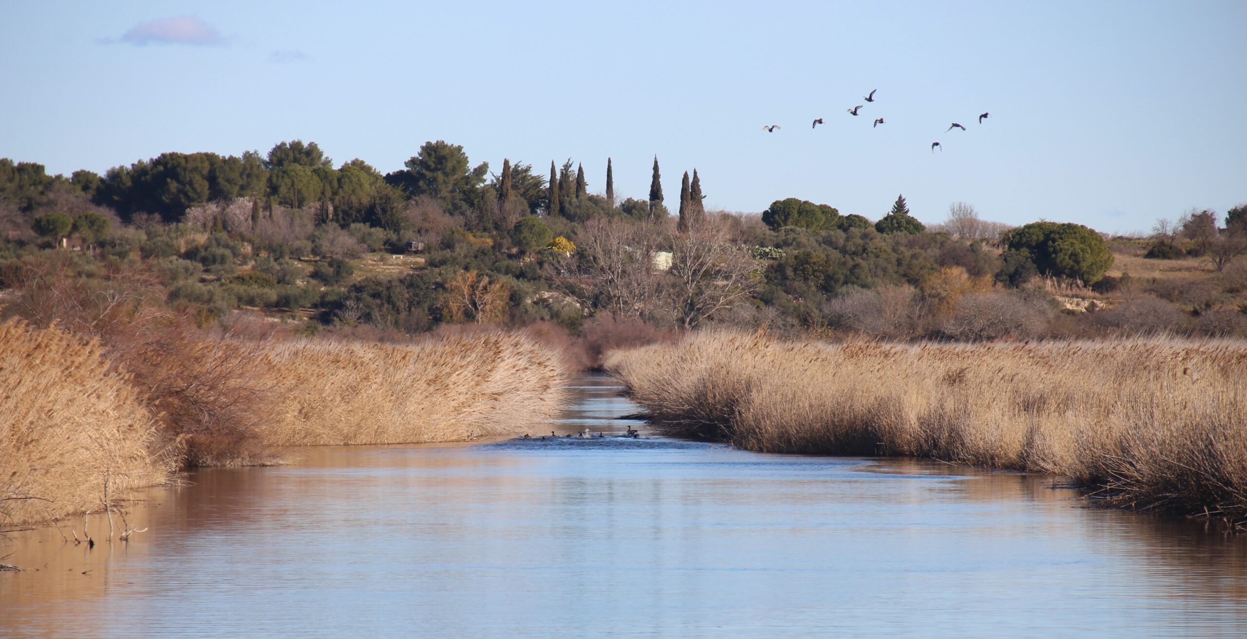 A quoi sert une Réserve ? L'exemple de l'Estagnol, dans l'Hérault