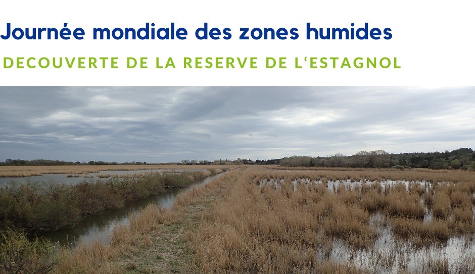 Estagnol Journée mondiale des zones humides