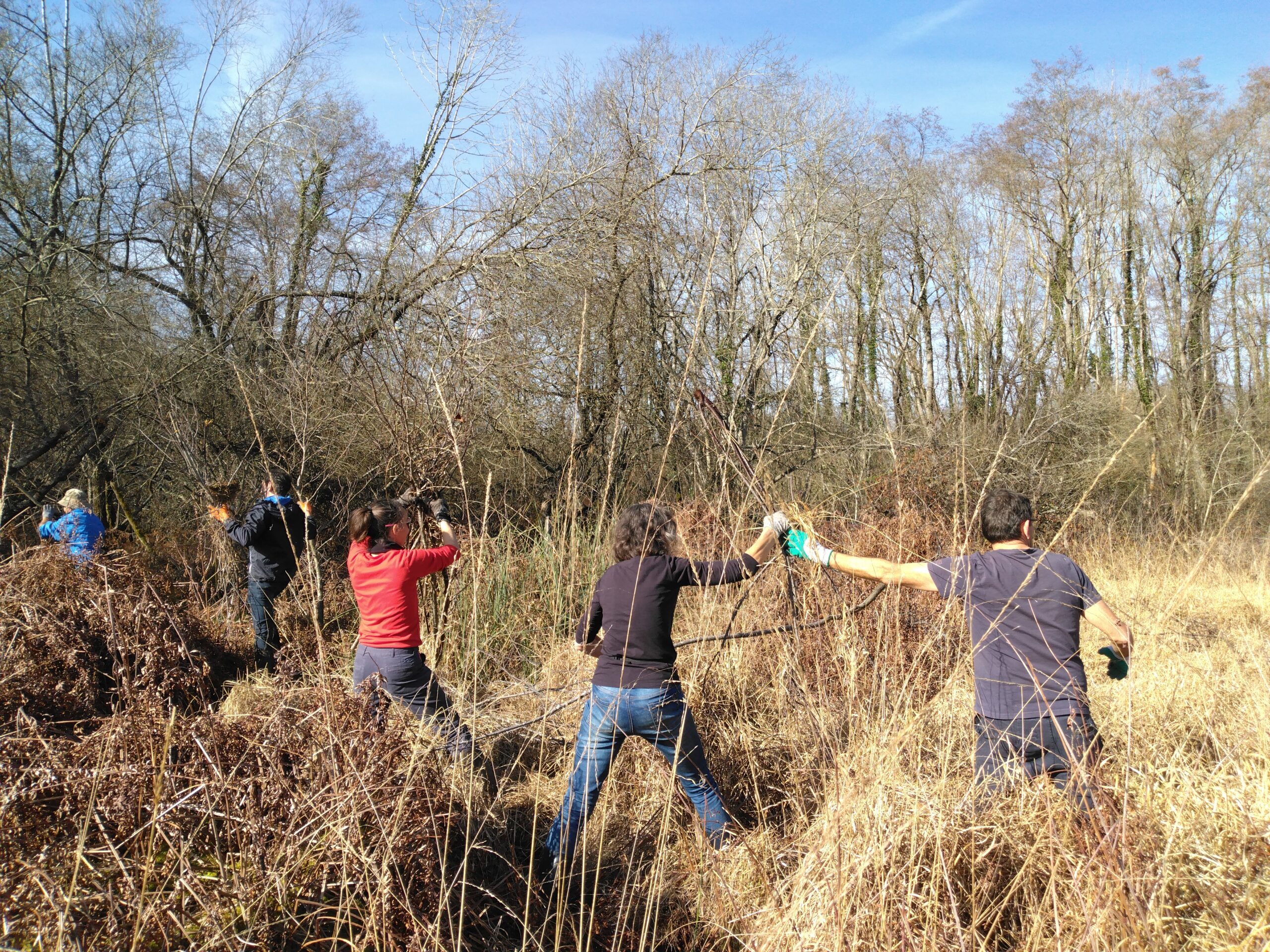 chantier nature dans les hautes pyrénées