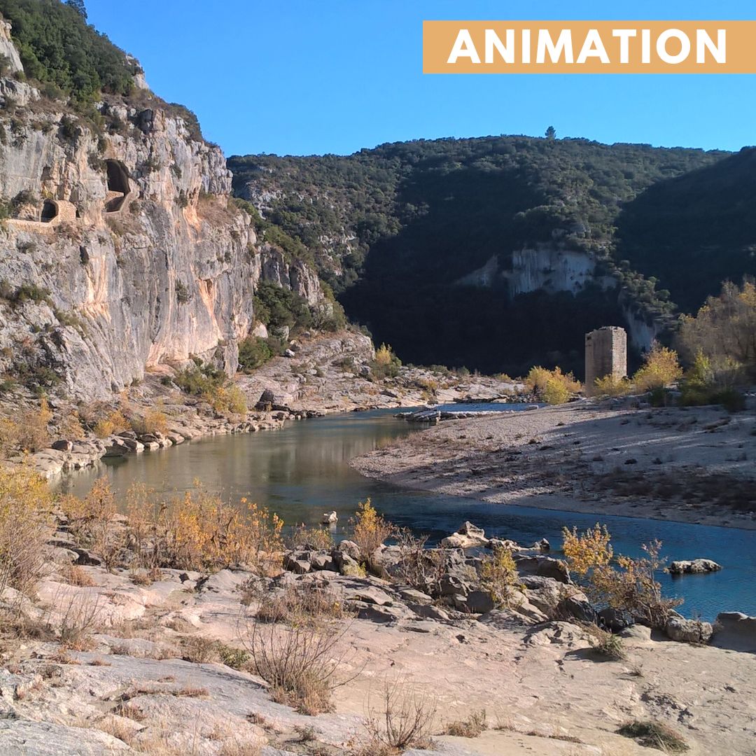 Sortie nature à la Réserve Naturelle Régionale des gorges du Gardon
