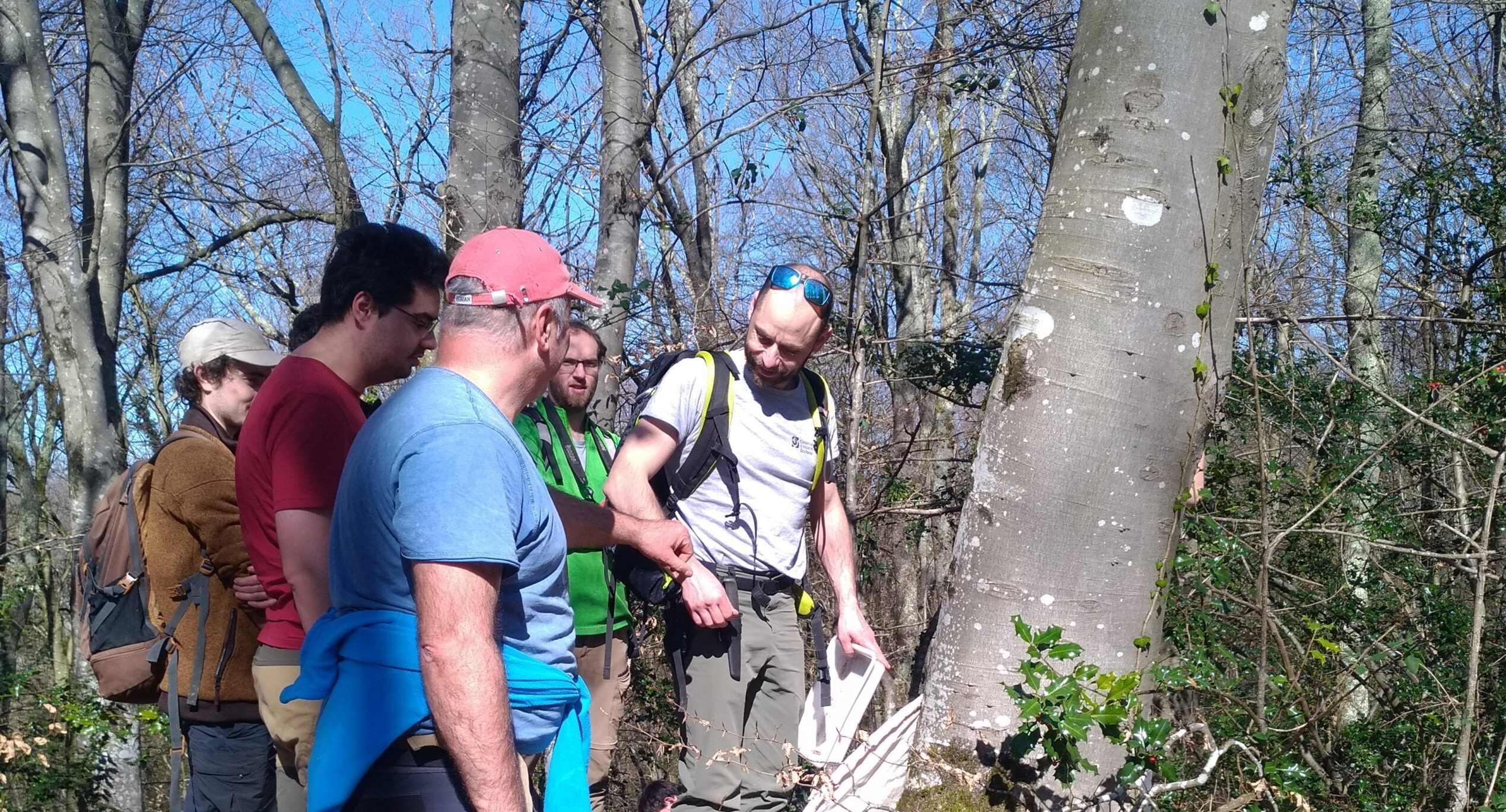 formation à l'étude des coléoptères dans la forêt de Moulédous dans les Hautes-Pyrénées