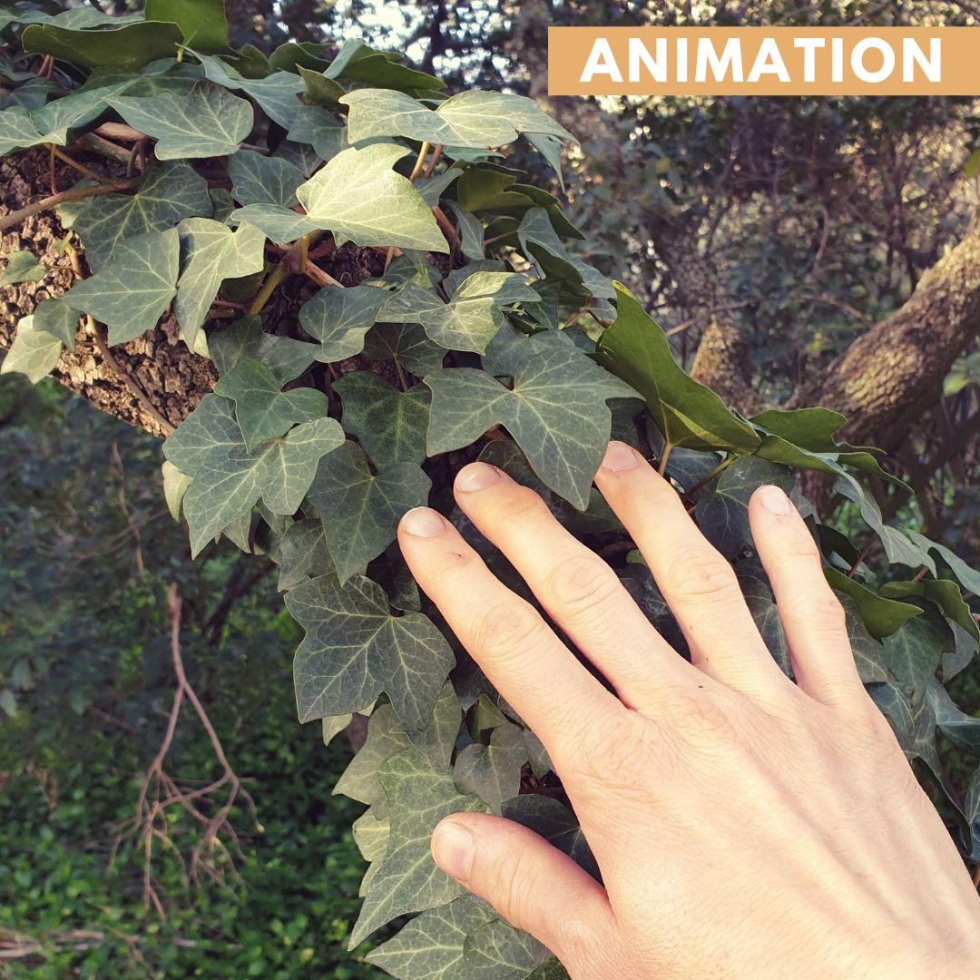 Balade accompagnée Nature et Sens à la Réserve Naturelle Régionale des gorges du Gardon