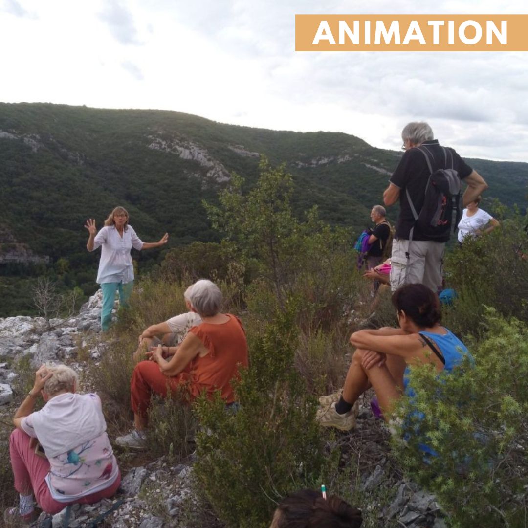 Balade accompagnée Si la Nature m'était contée à la Réserve Naturelle Régionale des gorges du Gardon