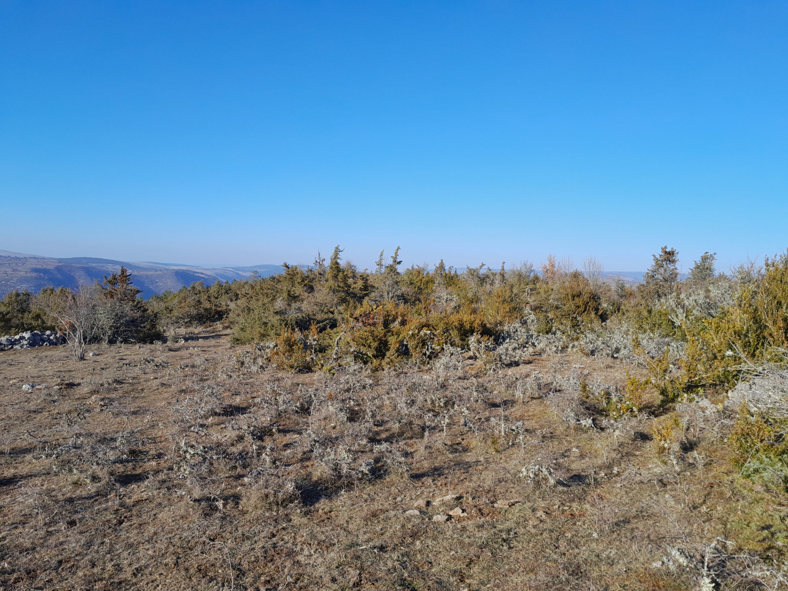 Rendez-vous Nature Lozère CEN Occitanie
