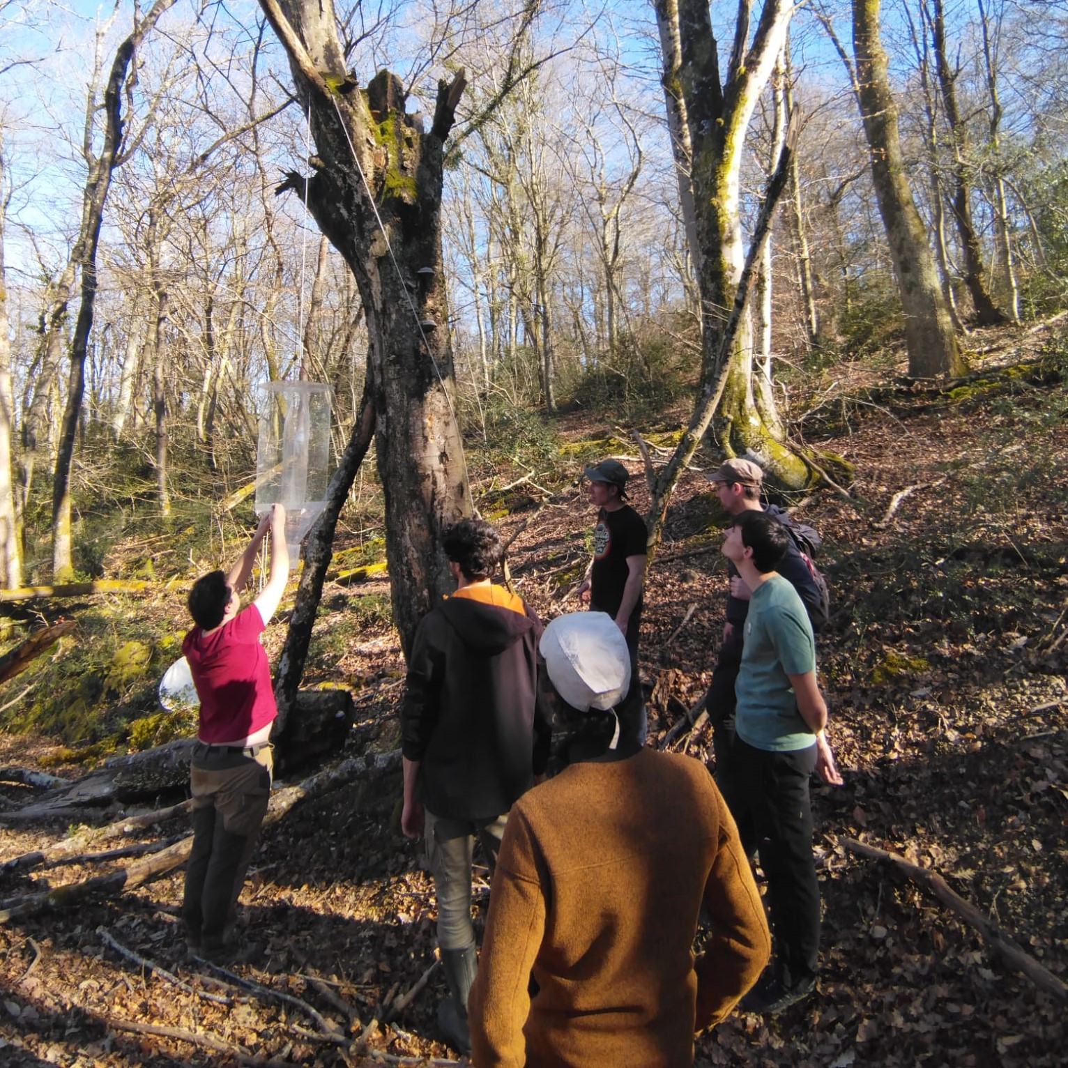 formation sur les coléoptères dans la forêt de Mouledous dans les Hautes-Pyrénées