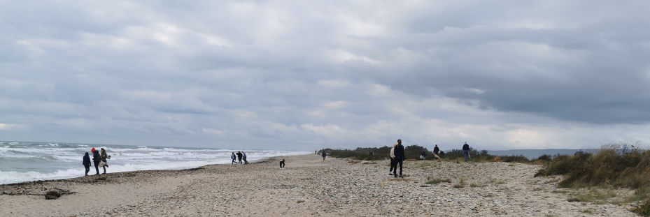 chantier de printemps : nettoyons le lido de Pierre Blanche aux Salines de Villeneuve