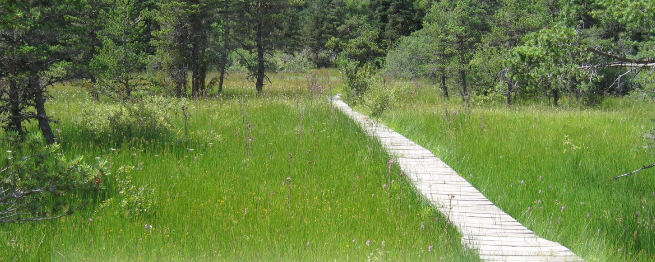 animation nature en lozère
