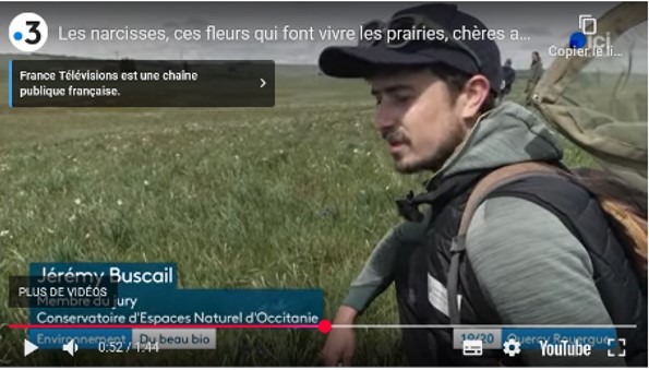 Capture vidéo narcisses