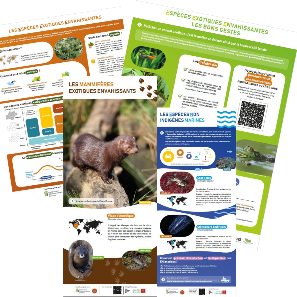 Espèces exotiques envahissantes Occitanie