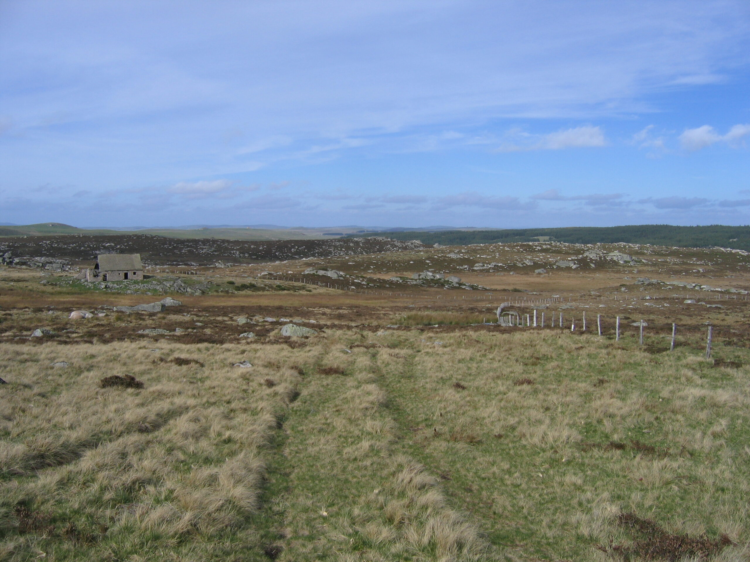 sortie nature à la découverte des tourbières de l'Aubrac