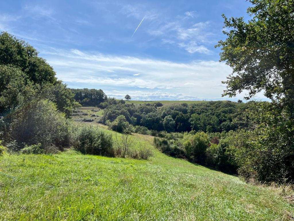 Solamoure CEN Occitanie