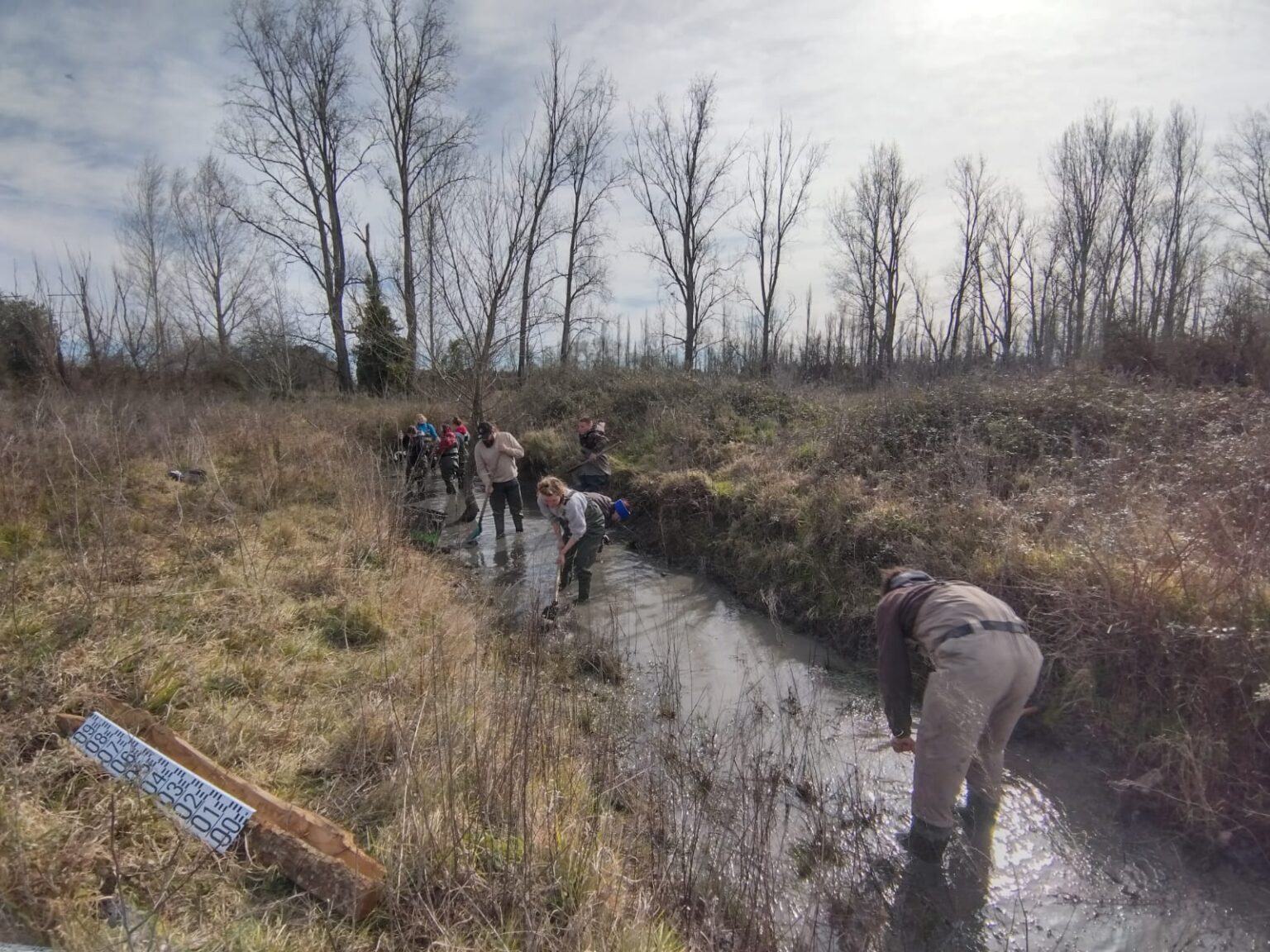 Dans le Gard, luttez contre la Jussie rampante ! Conservatoire d