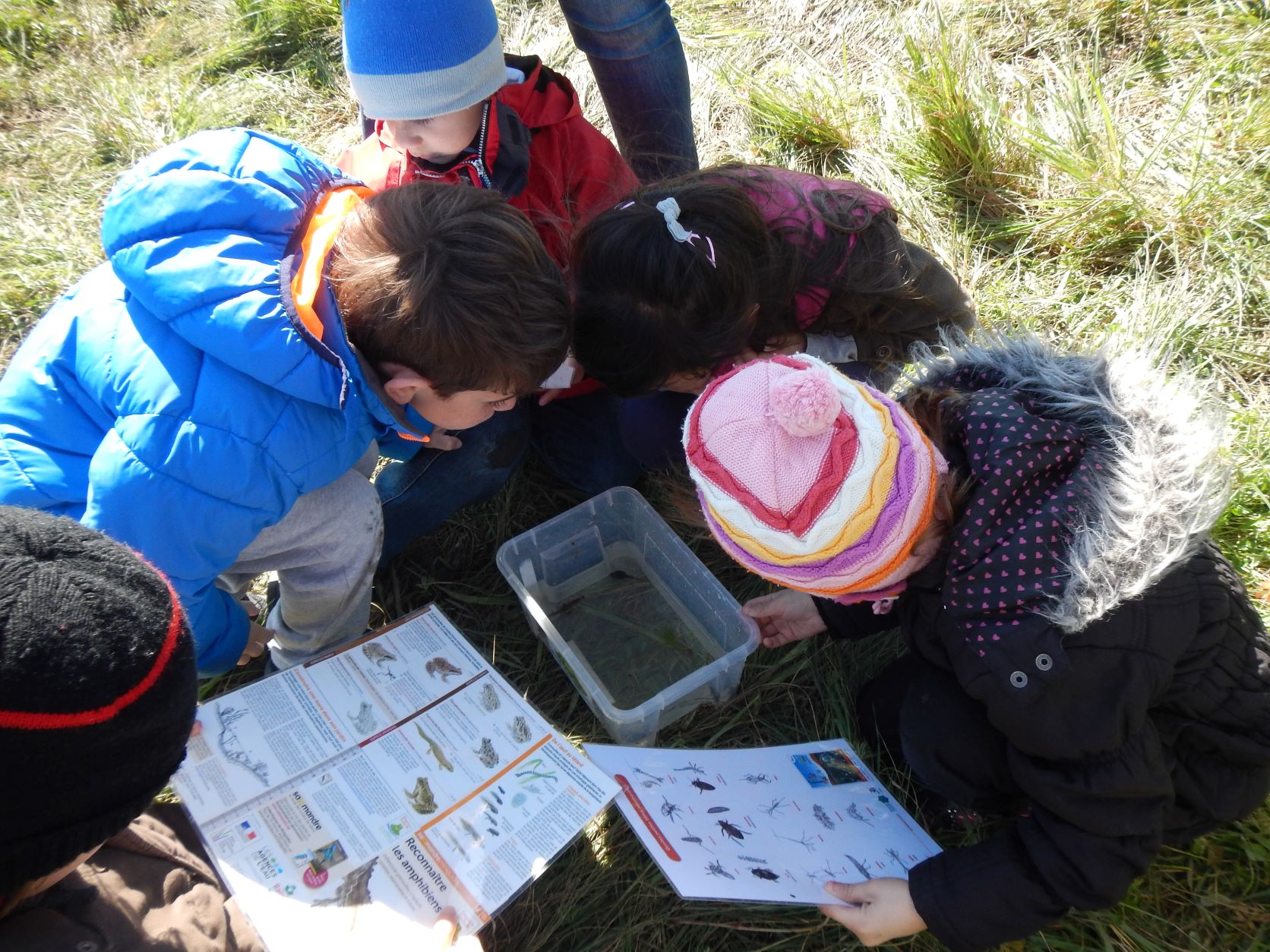 Stage découverte pour les enfants aux Salines de Villeneuve-lès-Maguelone ©Marine Couronne