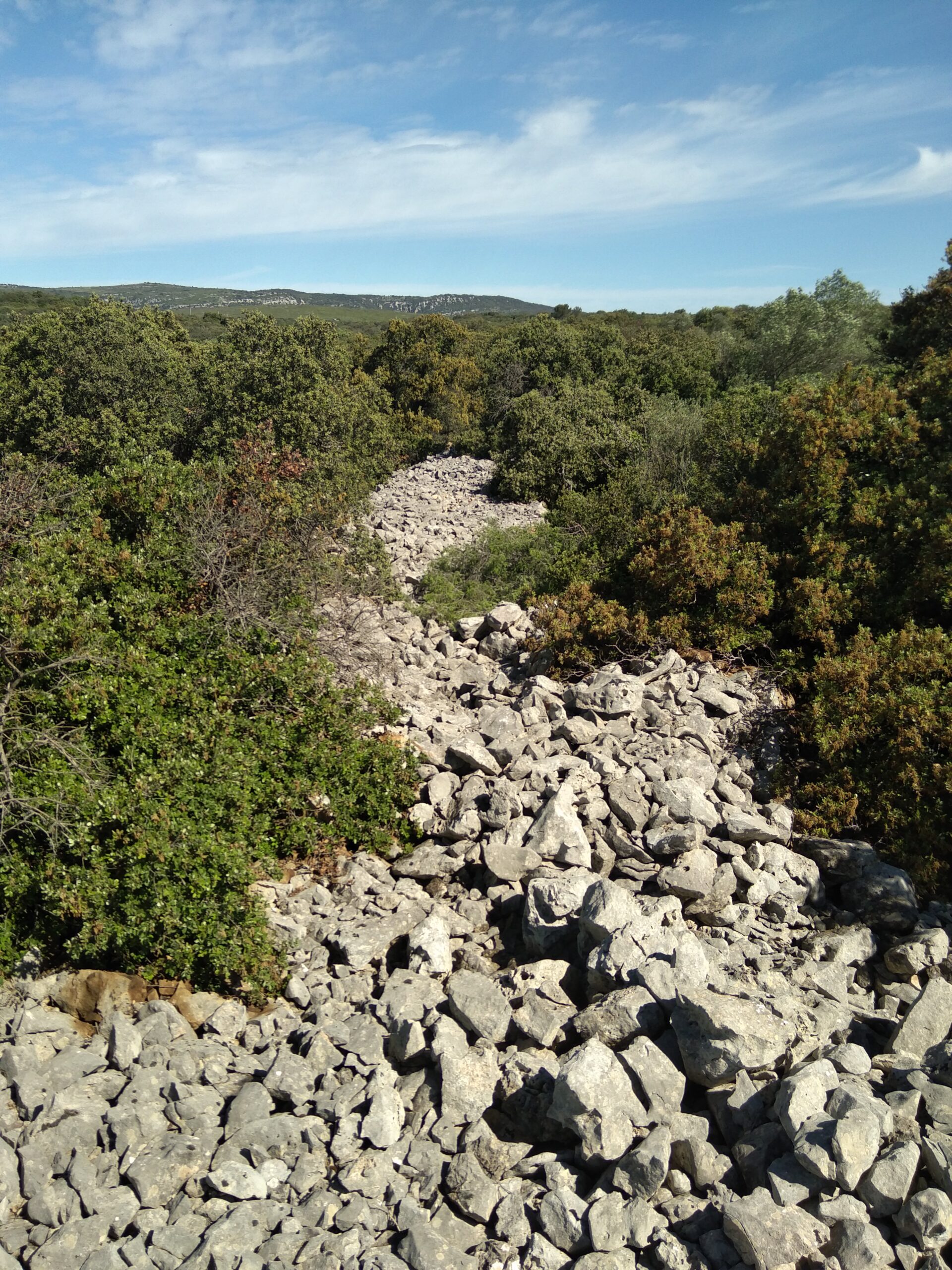 Chantier restauration anciens chemins pastoraux Montbazin CEN Occitanie