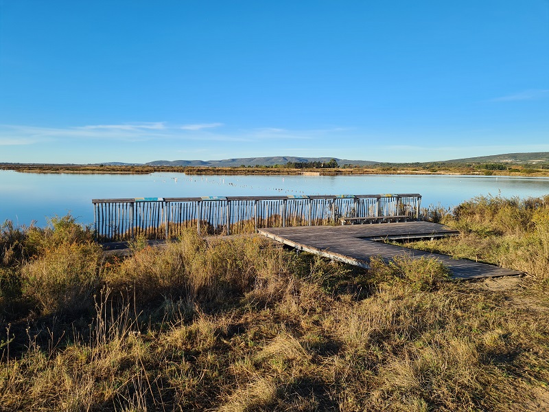 plateforme d'observation