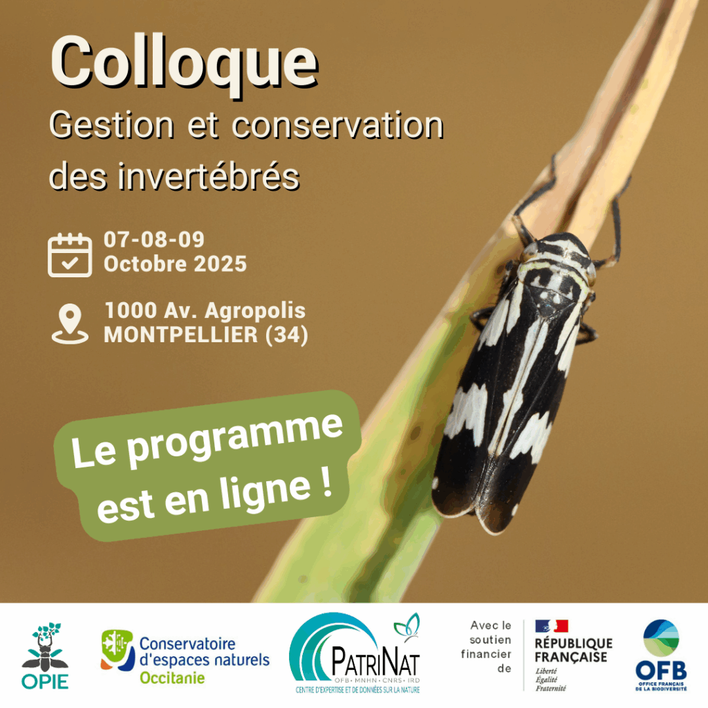 Annonce RS- SAVE THE DATE Colloque Invertébrés 2025 (2)
