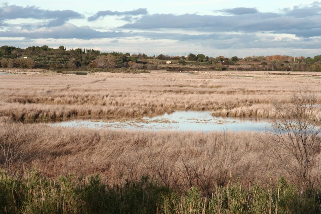 Réserve de l'Estagnol CEN Occitanie