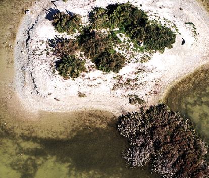CAP sur les Salines - Brochure activité - CEN Occitanie