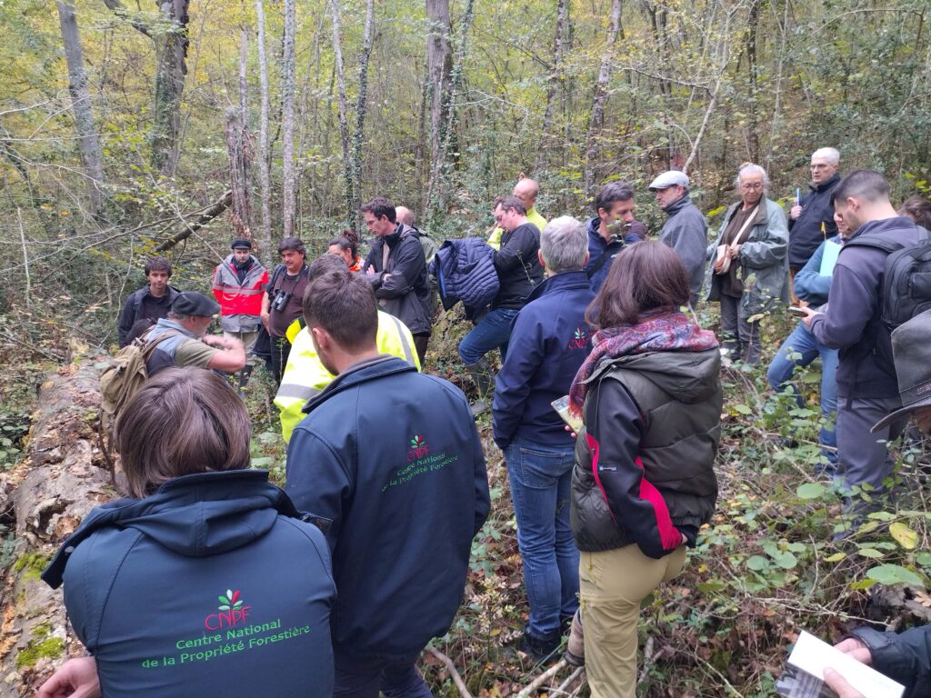 Vieilles forets CEN Occitanie