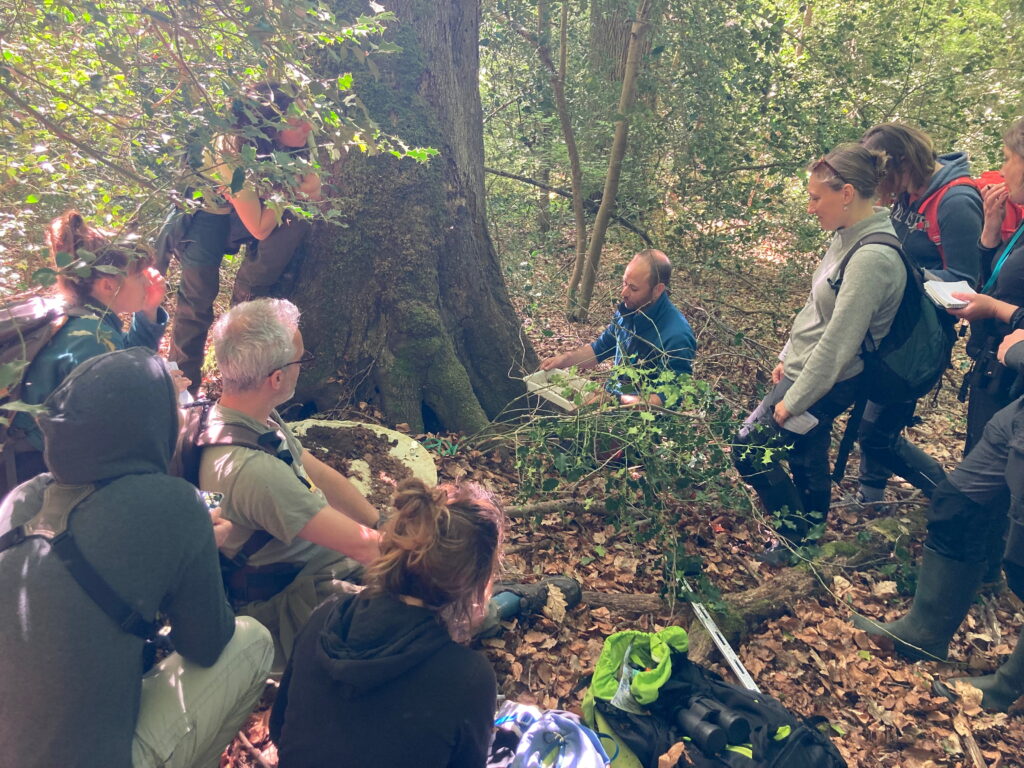 COLEOSAPRO Conservatoire d'espaces naturels d'Occitanie formation