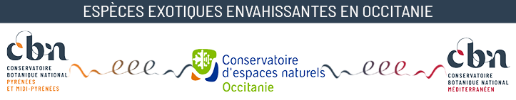 EEE CEN Occitanie CBN