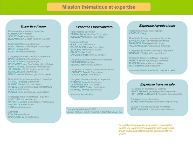 Organigramme Missions thématiques