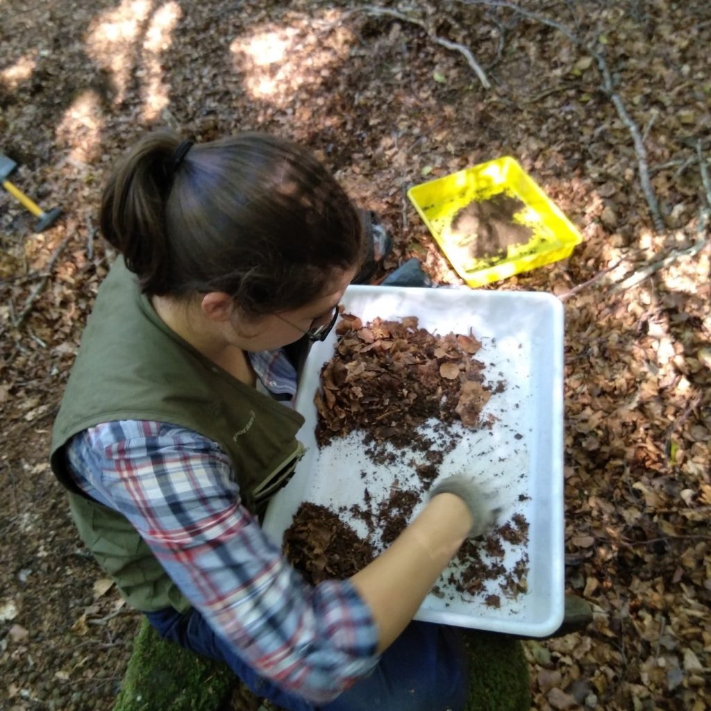 Photo Céline Emberger – InSylBioS 4-min Projet InSylBioS - Céline Emberger CEN Occitanie